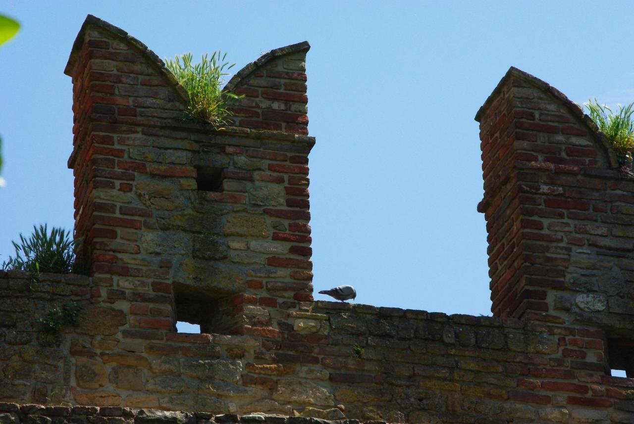 Villa Dircea CastellʼArquato エクステリア 写真